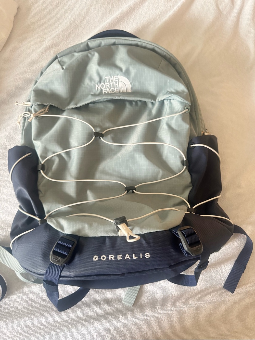 The North Face Borealis Backpack in Sage and Navy Blue